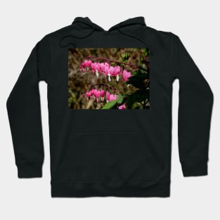 Bleeding Hearts Hoodie